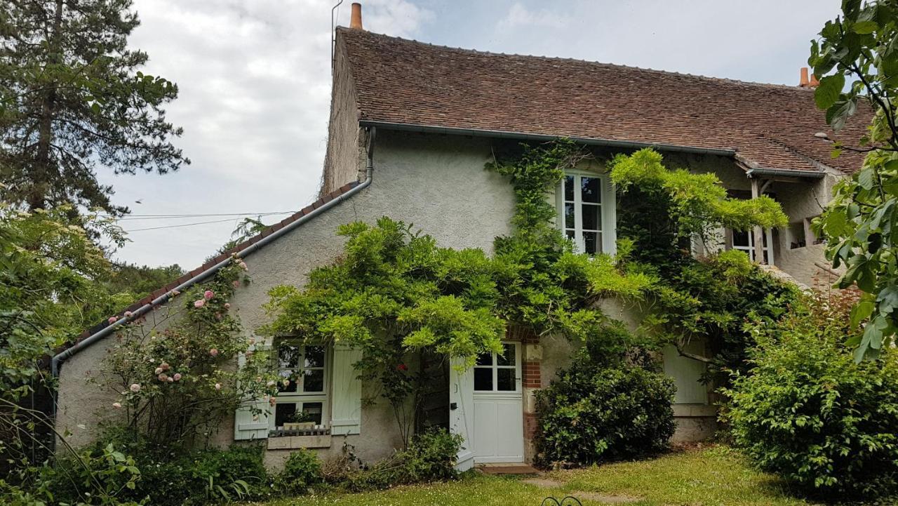 Chambres D'Hotes Les Renardieres Molineuf Exteriér fotografie