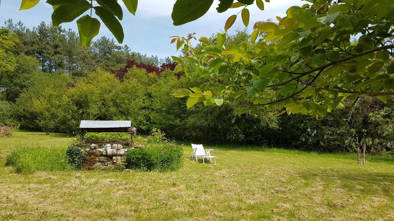Chambres D'Hotes Les Renardieres Molineuf Exteriér fotografie