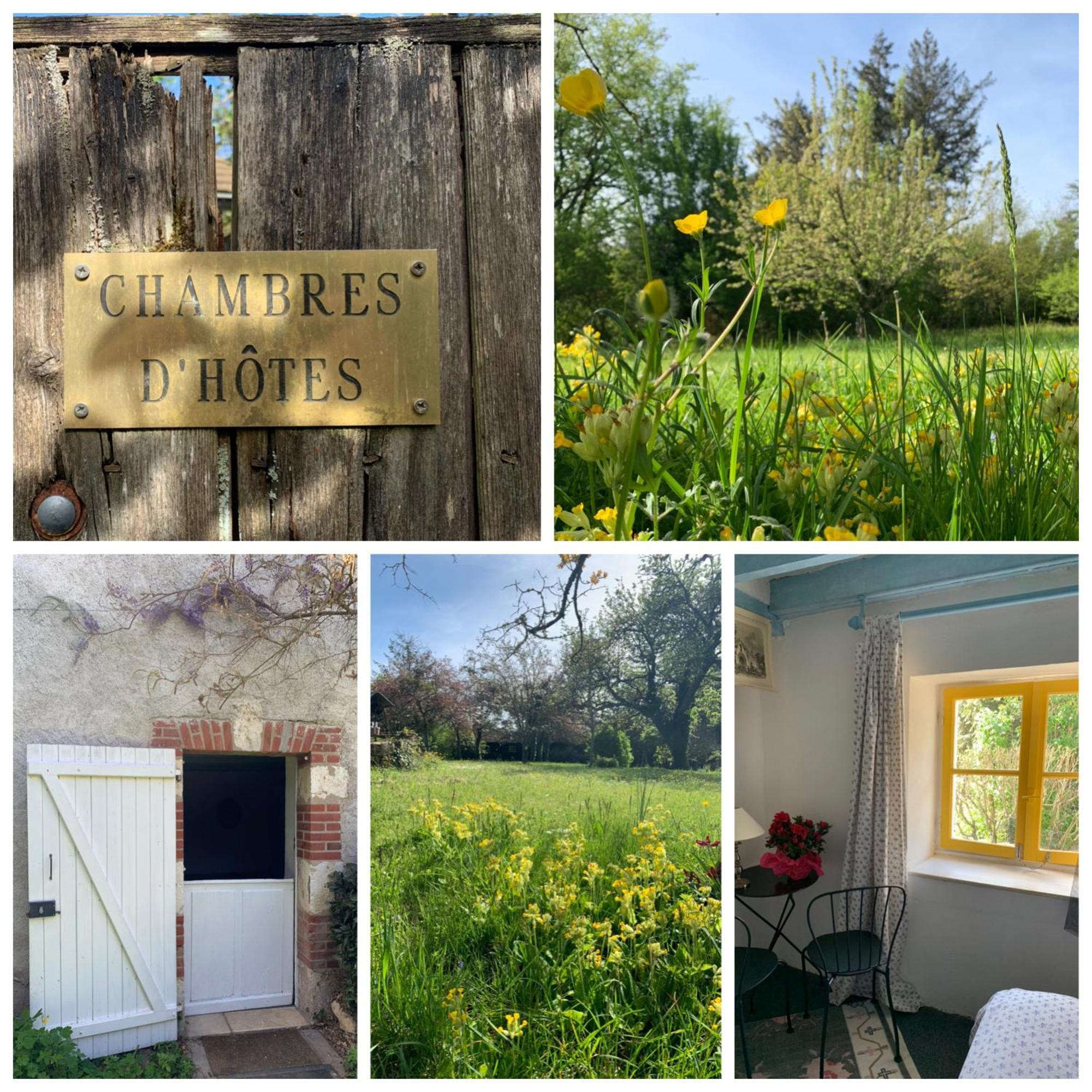 Chambres D'Hotes Les Renardieres Molineuf Exteriér fotografie